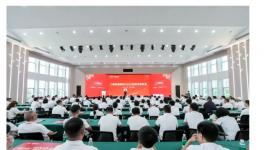 美縫劑全國(guó)零售銷量第一！三棵樹健康膠2025峰會(huì)聚勢(shì)啟新